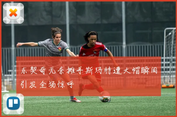 东契奇无奈摊手斯玛特遭大帽瞬间引发全场惊呼