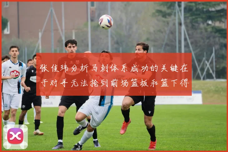 张佳玮分析马刺体系成功的关键在于对手无法抢到前场篮板和篮下得分困难