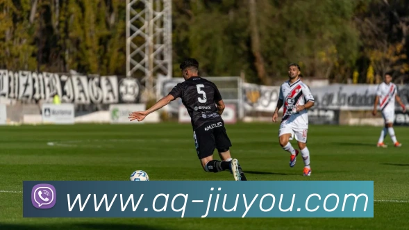 九游体育平台生态图